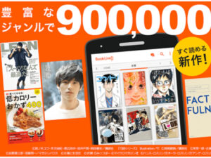 Fbay　代わり　2022　おすすめ　似てる　海外　海賊版サイト