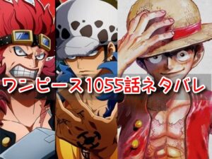 ワンピース　1055話　ネタバレ　考察　感想