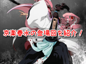 京楽春水 卍解 何巻 何話 始解 名シーン 登場回