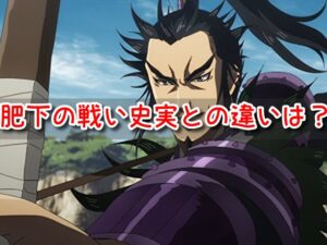 肥下の戦い ひかの戦い 史実 詳細 キングダム 違い